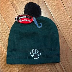 NWT Green Reversible Knit Beanie Jenison Michigan